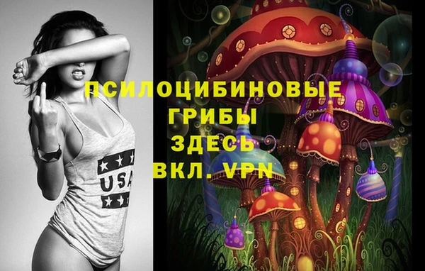 гашик Абинск