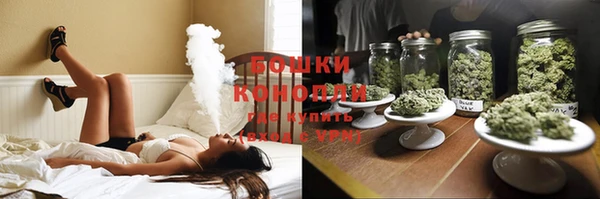 сатива Абдулино