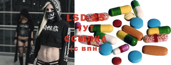 spice Инта