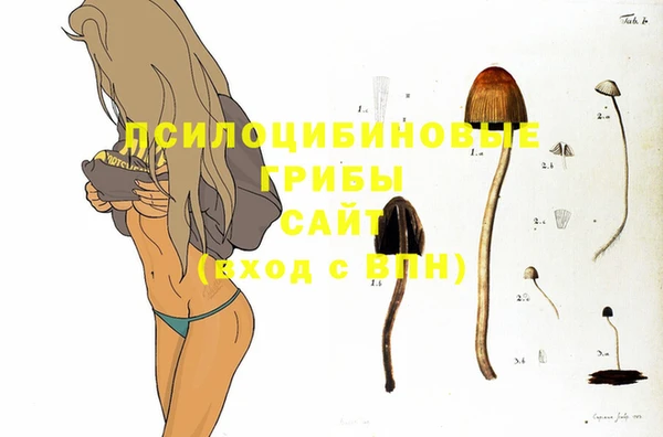 гашик Абинск