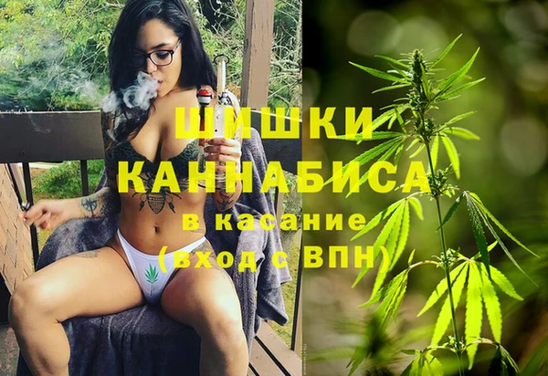 сатива Абдулино