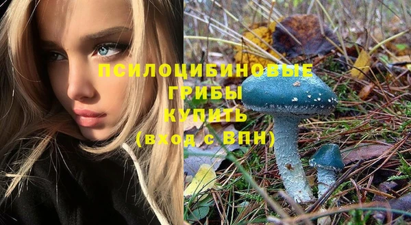 хмурый Алексин