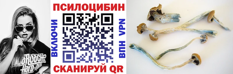 kraken как войти  Эртиль  Псилоцибиновые грибы ЛСД 