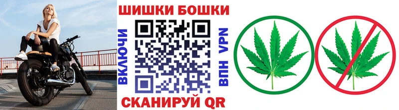 блэк спрут маркетплейс  Эртиль  Бошки марихуана конопля 